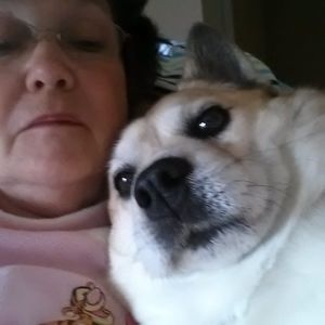 Meet your Posher, Delpha